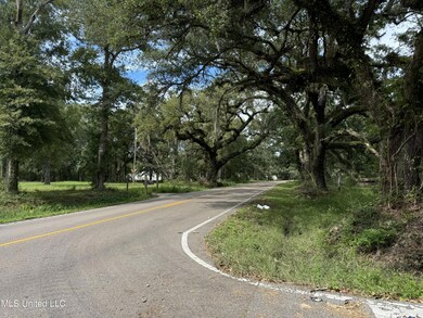 IMG_4934 2