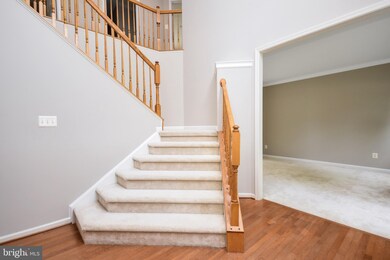 8 Temple Dr, Stafford, VA 22554 - photo 5