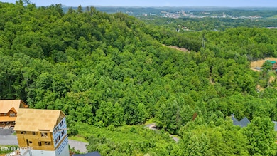 LOT 47 Pine Peak Way, Pigeon Forge, TN 37862 - photo 2