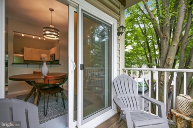 4679 Longstreet Ln unit 101, Alexandria, VA 22311 - photo 6