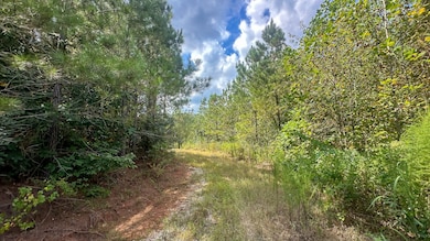 0 Jeanette Holladay Rd, Parsons, TN 38363 - photo 6