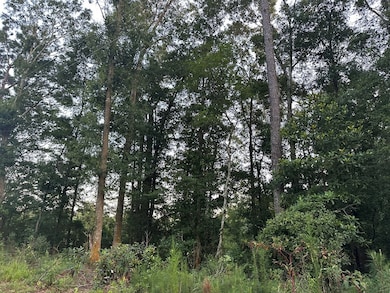 TBD Stringer Rd, Seminary, MS 39479 - photo 2