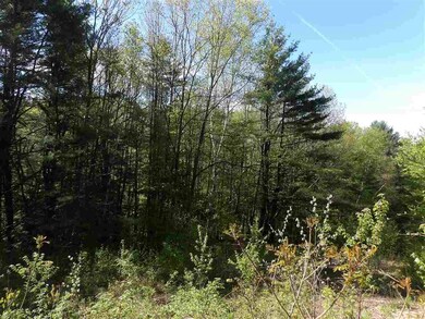 86 Alice Smith Rd, Walpole, NH 03608 - photo 2