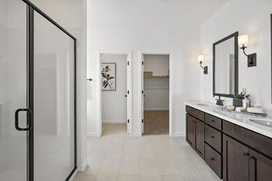 Owner's Bath