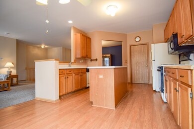 12244 Pear Tree Way, Plainfield, IL 60585 - photo 5