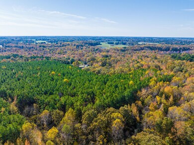 HWY 641 Puryear Crossland Rd, Puryear, TN 38251 - photo 4