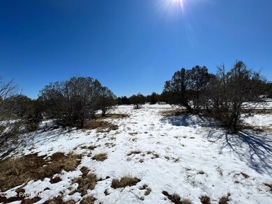 IMG_0165