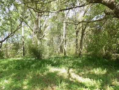 1558 Scott Hill Rd, Charleston, SC 29412 - photo 2