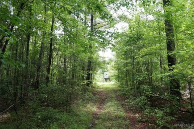 25940 Troy Hwy, Ramer, AL 36036 - photo 4