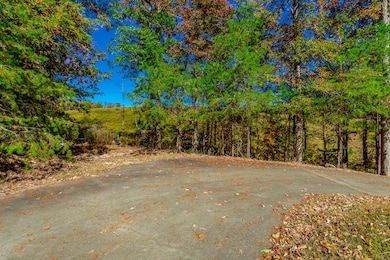 9739 Timberview Trail, Ooltewah, TN 37363 - photo 3