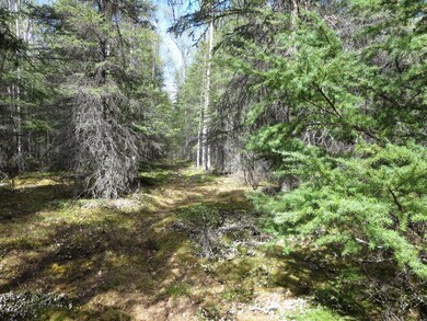 L9 Lyle Cir, Hope, AK 99605 - photo 5