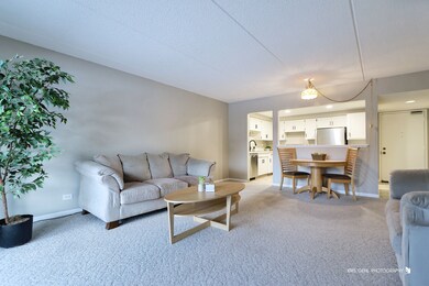 920 Vose Dr unit 208, Gurnee, IL 60031 - photo 4