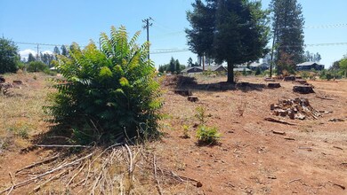 8645 Skyway, Paradise, CA 95969 - photo 5