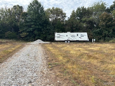 30 Leo Ln, Perry, MO 63462 - photo 7