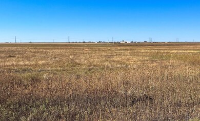 unlisted-address, Shallowater, TX 79363 - photo 2