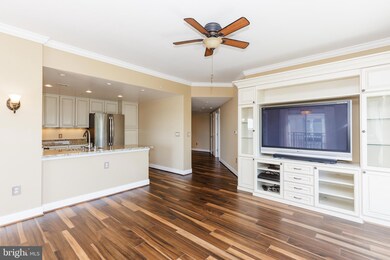 Residences at Park Place unit 706, Annapolis, MD 21401 - photo 7