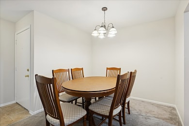 1010 E Glavin Ct unit 1807, Palatine, IL 60074 - photo 7