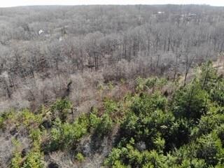 0 Preston Baggett Rd, Tennessee Ridge, TN 37178 - photo 5