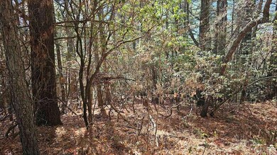 0 Lick Log unit 103346, Scaly Mountain, NC 28775 - photo 2