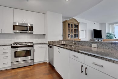 Buckhead Grand Condominium unit 1602, Atlanta, GA 30326 - photo 4