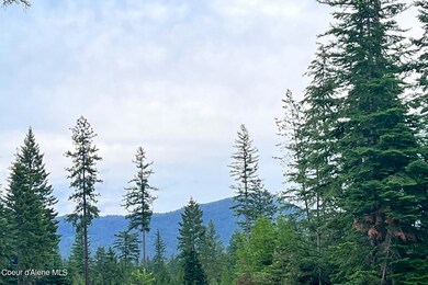 Stunning Views