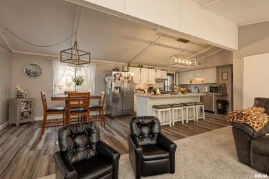 1219 Borders Ln, Harrisburg, IL 62946 - photo 6