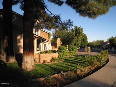 Summer Picture / Front Yard