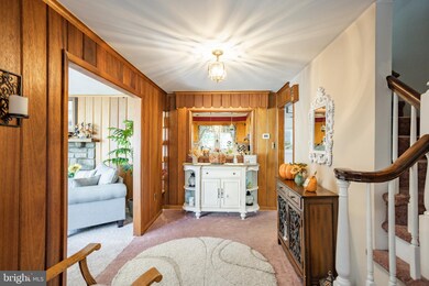 469 Argyle Rd, Drexel Hill, PA 19026 - photo 5