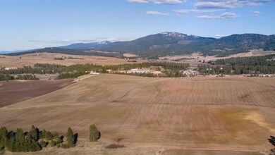 13111 E Gibbs Rd, Valleyford, WA 99023 - photo 6