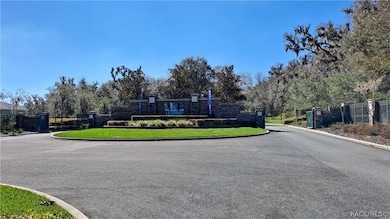 2293 N Heritage Oaks Path, Hernando, FL 34442 - photo 4