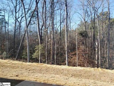 Quite wooded view from back patio!