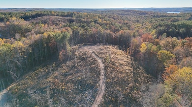 0 Big Rock Rd, Jacksons Gap, AL 36861 - photo 6