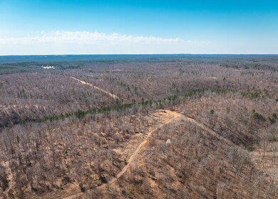 DJI_20240321134951_0145_D