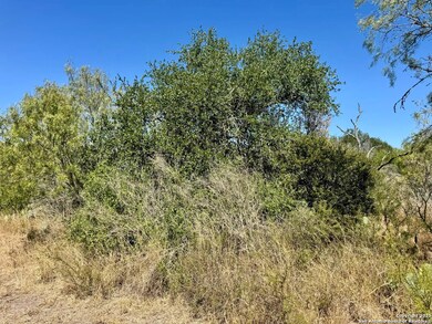 0 County Road 215, McCoy, TX 78113 - photo 4