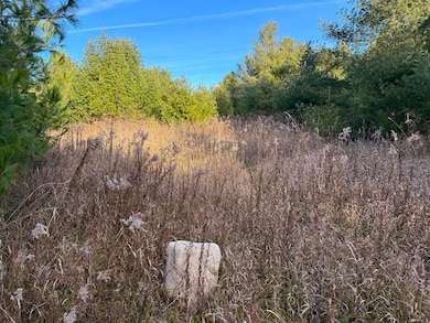 0 Brevort Lake Rd unit 25-1160, Moran, MI 49760 - photo 6