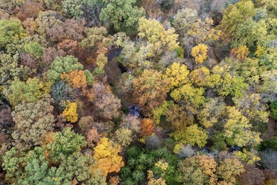 TRACT 1 E Sugar Grove Rd, Columbia, MO 65201 - photo 4