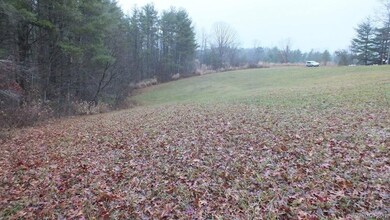 5.25 Acres Bull Creek Rd, Mars Hill, NC 28754 - photo 6