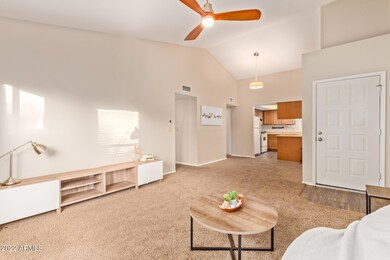 2455 E Broadway Rd unit 46, Mesa, AZ 85204 - photo 7