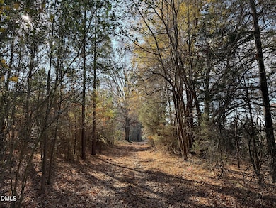 Lot 1 Wolf Tree Way, Efland, NC 27243 - photo 4