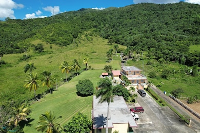 Interior Carr #969, Naguabo, PR 00718 - photo 6
