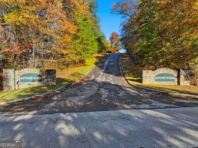 0 Autumn Ridge Drive Lot 10 & Lot 11 Dr unit 10647540, Mineral Bluff, GA 30559 - photo 6