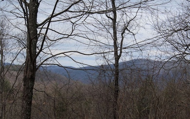 Additional View