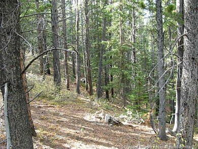 Land/Lot.
