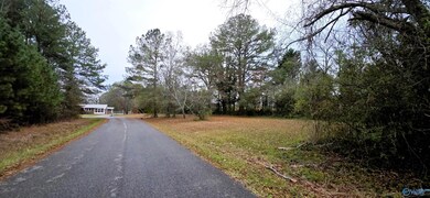0.40 Dale St, Glencoe, AL 35905 - photo 7