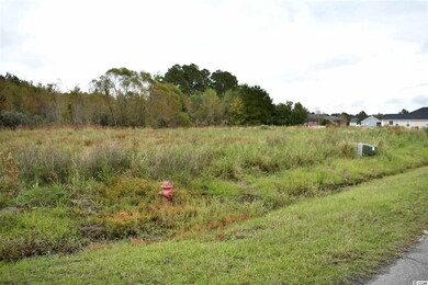 TBD Fox Chase Dr, Conway, SC 29527 - photo 2