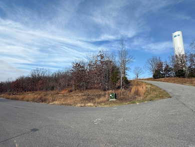 Tract 75 76 Helen Circle Rd, Austin, AR 72007 - photo 2