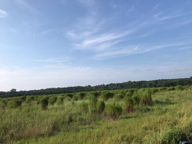 Tract 4 Mosley Rd, Uvalda, GA 30473 - photo 4