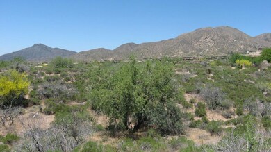 Looking west from back of lot
