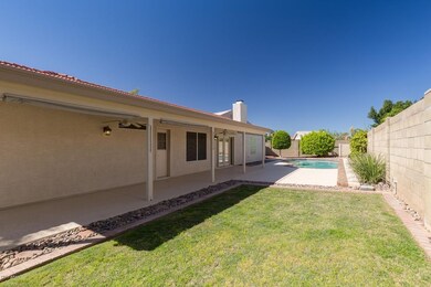 Backyard Grass Area