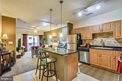 Bryson At Woodland Park unit 315, Herndon, VA 20171 - photo 2